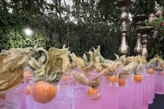 Photo-27-1-25-8-59-28-AM-12-1